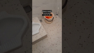 Kamar mandi minimalis 1,5m x 1,5m #shorts #bathroom Featured Image 
